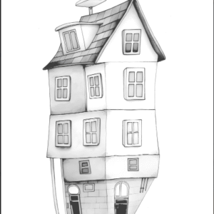 033 Tiny House - Contempnary