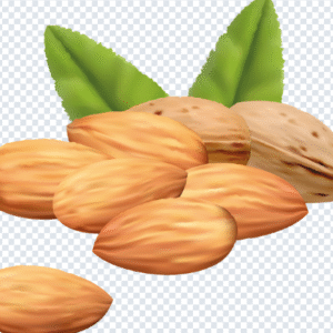 almond_png