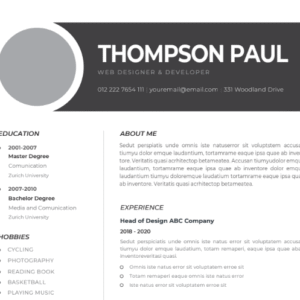 Professional CV Resume Template Vol.11