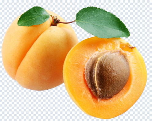 apricot_png