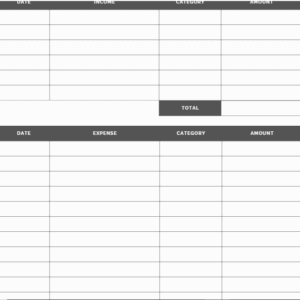 Income & Expenses Log