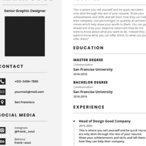 Professional CV Resume Vol.13