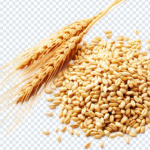 wheat_png