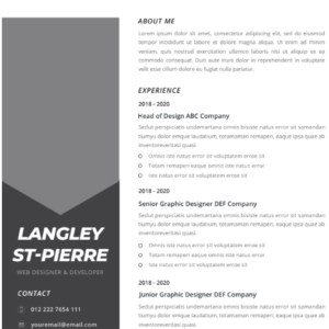 Professional CV Resume Vol.27