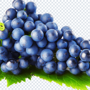 grape_png