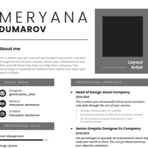 Professional CV Resume Template Vol.15