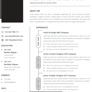 Professional CV Resume Vol.26