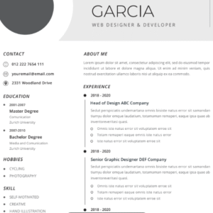 Professional CV Resume Vol.28