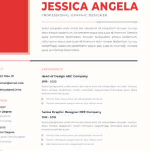 Professional CV Resume Vol.45