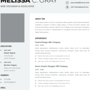 Professional CV Resume Vol.36