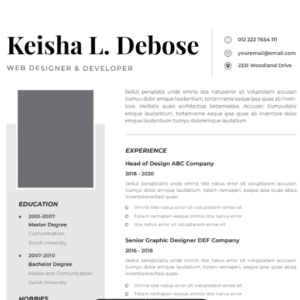 Professional CV Resume Vol.20