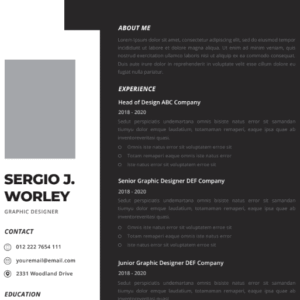 Professional CV Resume Vol.2