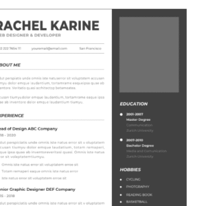 Professional CV Resume Vol.4