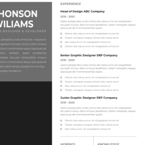 Professional CV Resume Template Vol.8