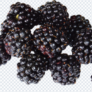 blackberry_png