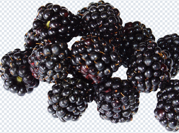 blackberry_png