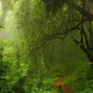 Nature and Landscapes