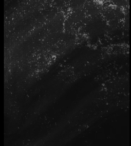 Kold Halftone Grunge.mp4