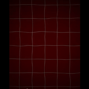 Red grid(1)
