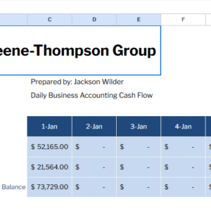 Daily Business Accounting Cash Flow Template.xlsx