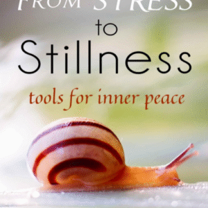 From Stress to Stillness