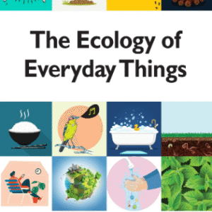 The Ecology of Everyday Things