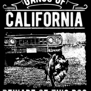 Gangs Of California