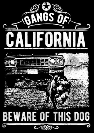 Gangs Of California