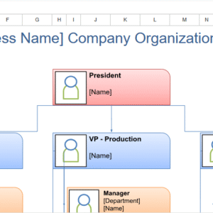 company organization chart.xlsx