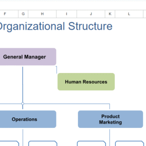 functional org chart.xlsx