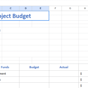 Basic project budget.xlsx