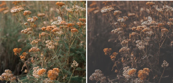 Focus Photoshop Action