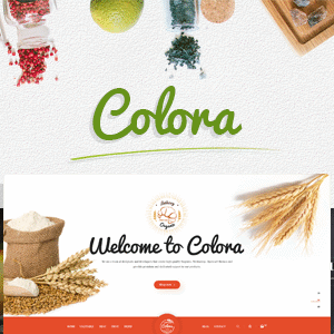 elements colora organic responsive magento theme