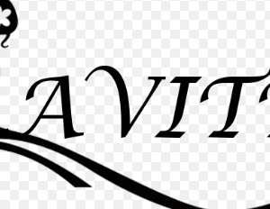 elements lavitta wedding-shop-fashion-shopify