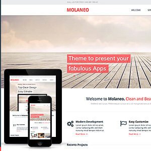 elements molaneo multi purpose muse template